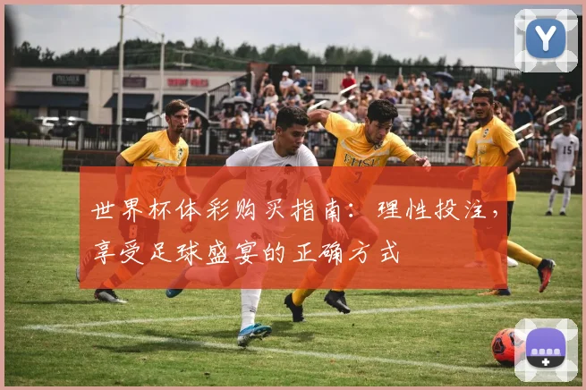 世界杯体彩购买指南：理性投注，享受足球盛宴的正确方式