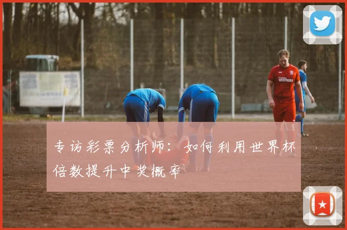 专访彩票分析师：如何利用世界杯倍数提升中奖概率